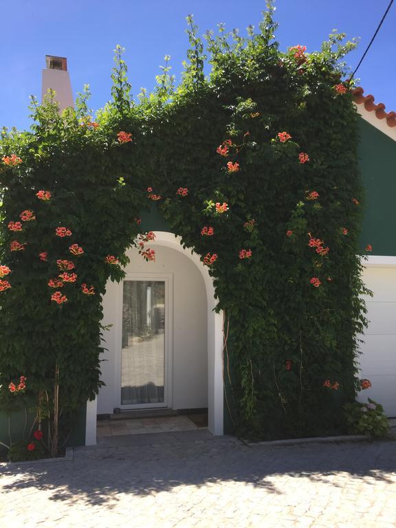 Horta Dos Cedros Holiday home