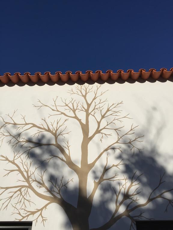 Horta Dos Cedros *