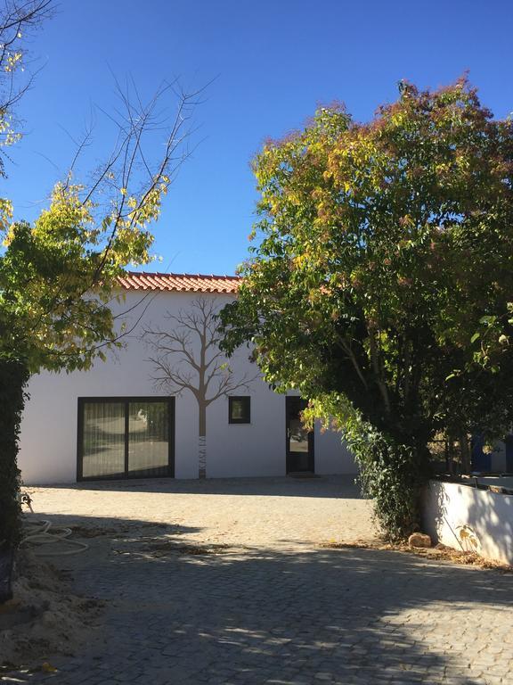 Holiday home Horta Dos Cedros