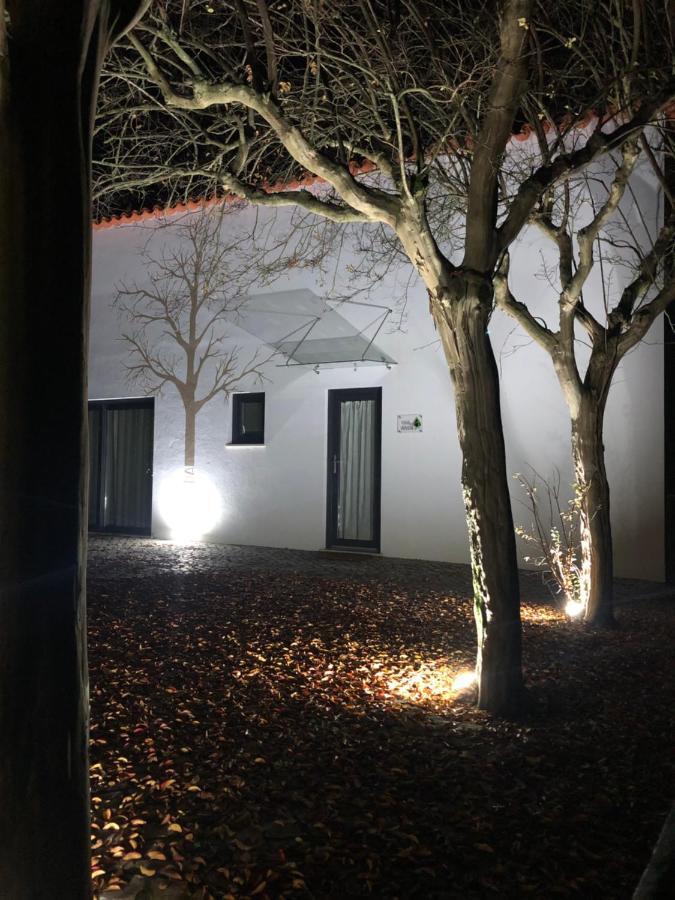 Horta Dos Cedros Holiday home Tomar
